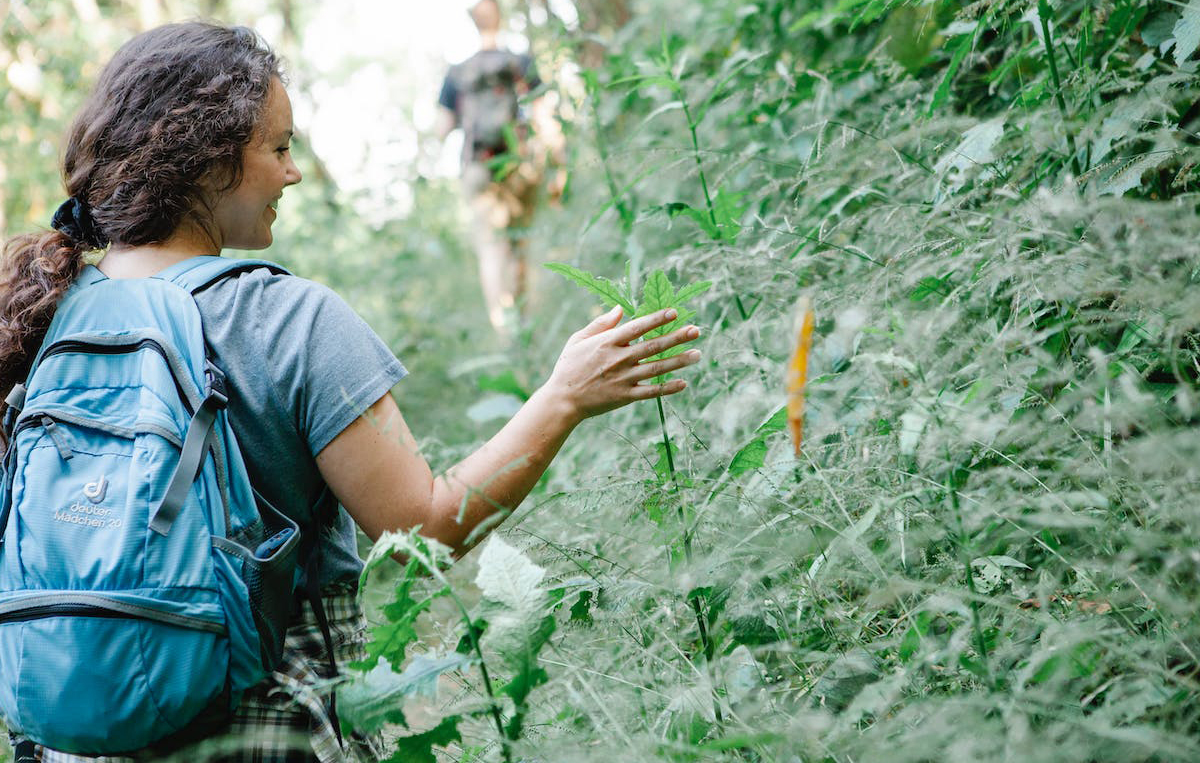 Jungle Trekking