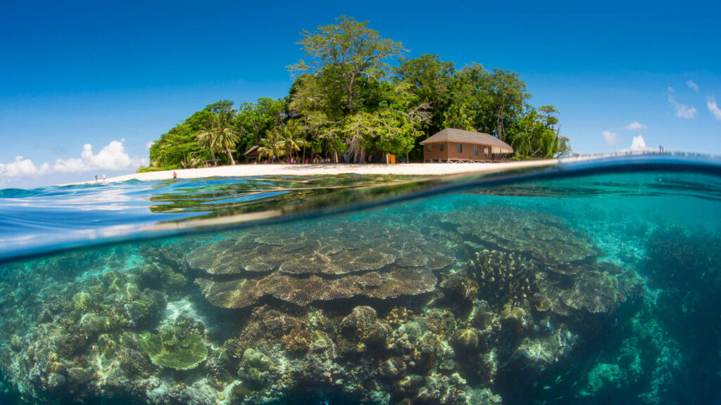 beach Malaysia - sipidan island