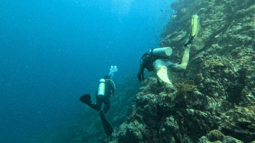 diving at pulau susu dara
