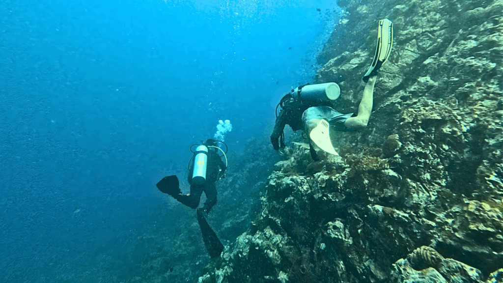 Discover the Island’s Diving Spots