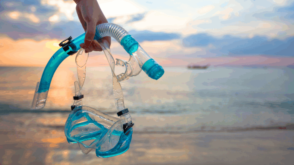 Go Snorkeling Right Off the Beach at long beach